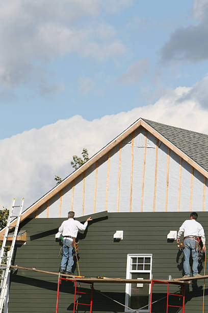 Best Wood Siding Installation  in Vla Park, IL