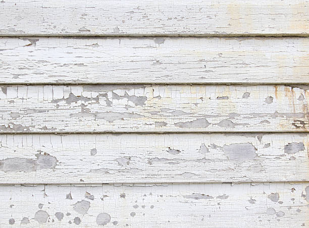 Best Siding Painting and Refinishing  in Vla Park, IL