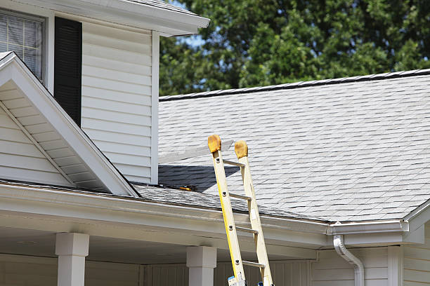 Trusted Villa Park, IL Siding Services Experts