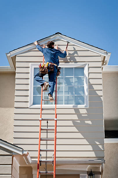 Best Siding Removal and Disposal  in Vla Park, IL